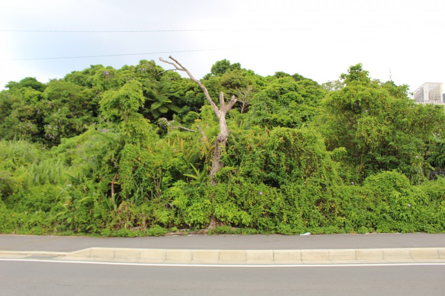 伊差川売地